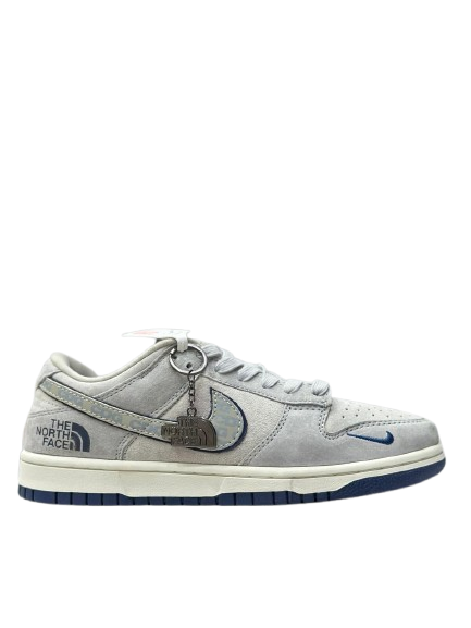 Nike Dunk North Face