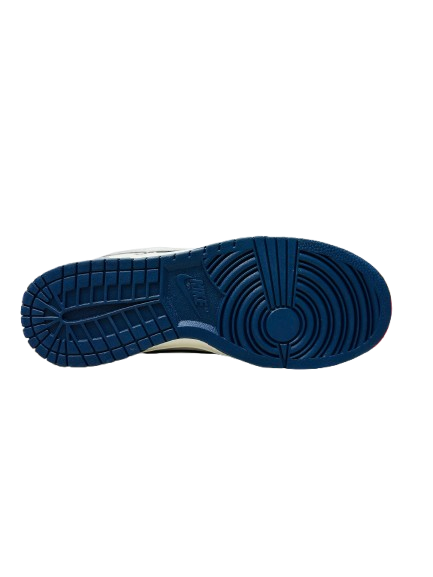 Nike Dunk North Face