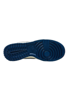 Nike Dunk North Face